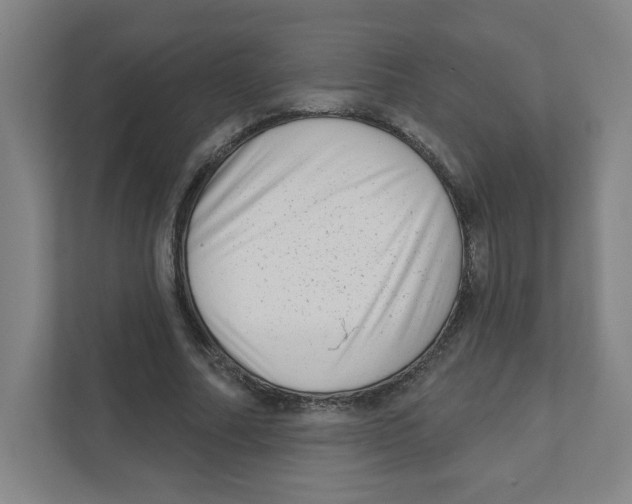X0000111460682200908101055