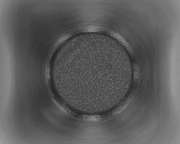 X0000111460683200908101055