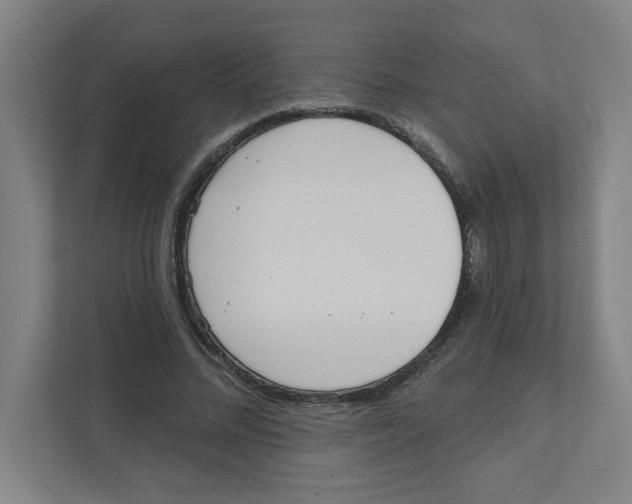 X0000111460684200908101055