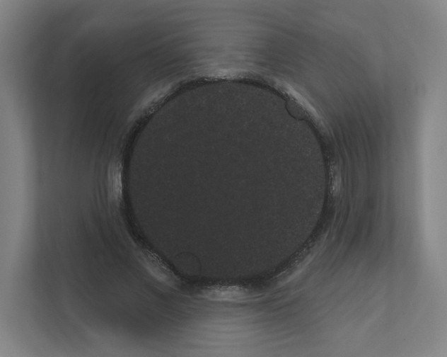 X0000111460685200908101055