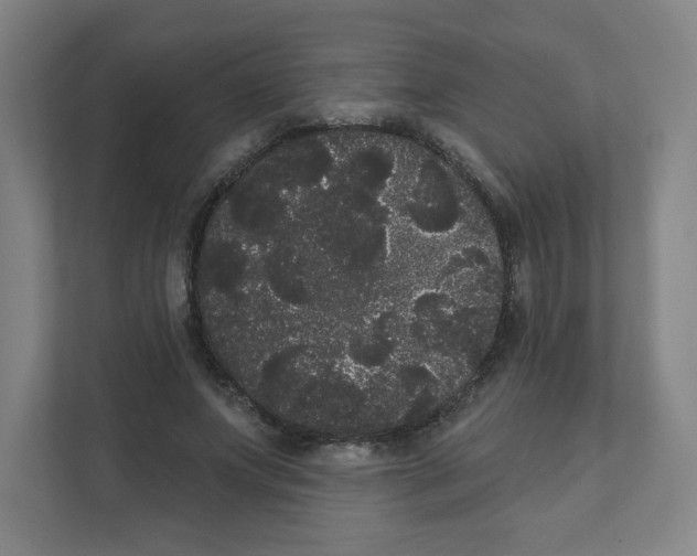 X0000111460687200908101055