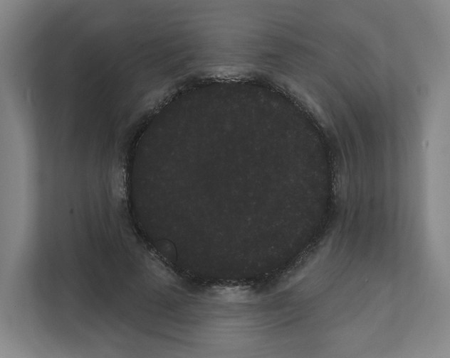 X0000111460689200908101055