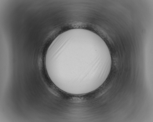 X0000111460690200908101055