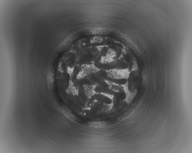 X0000111460691200908101055