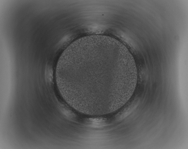 X0000111460693200908101055