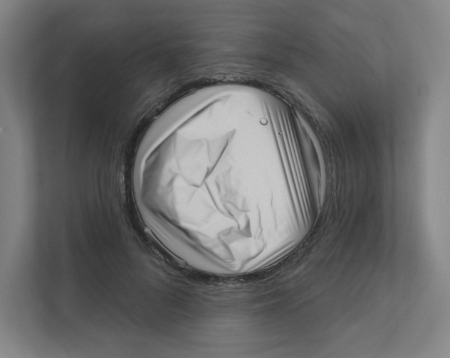 X0000111460696200908101055