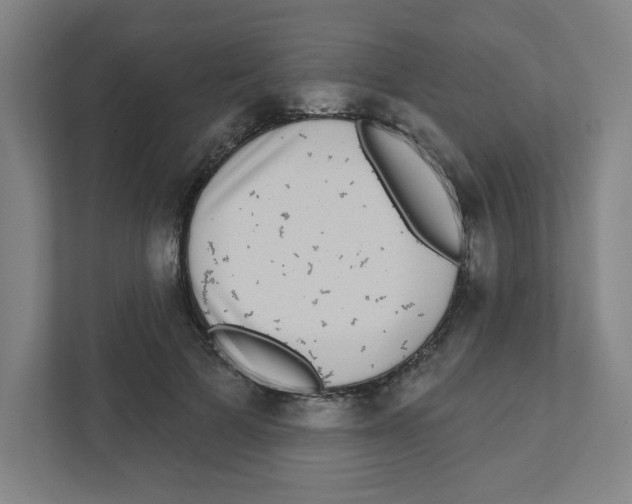 X0000111460697200908101055