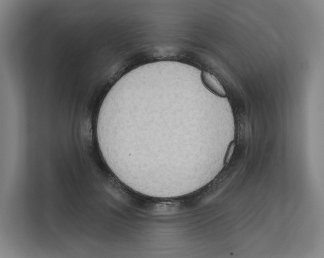 X0000111460700200908101055