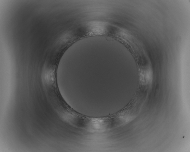 X0000111460701200908101055