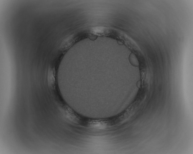 X0000111460702200908101055