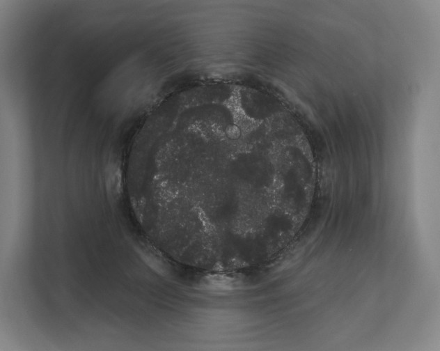X0000111460703200908101055