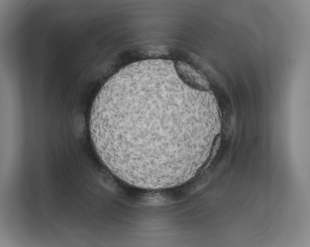 X0000111460704200908101055