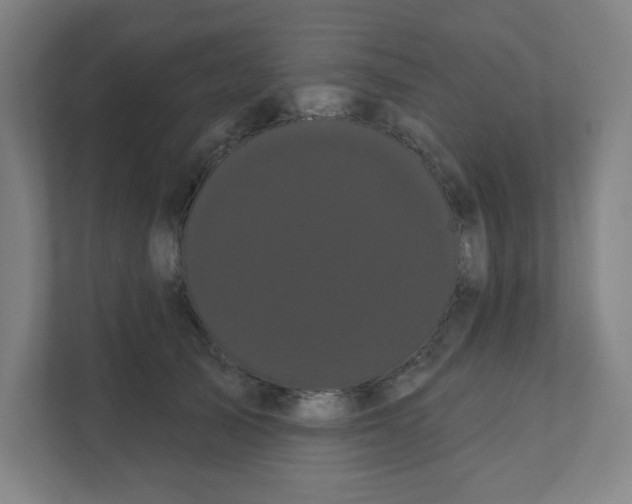 X0000111460705200908101055