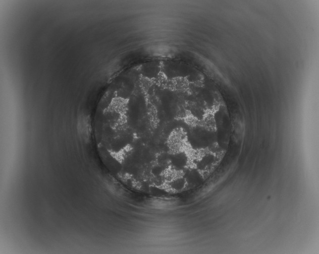 X0000111460707200908101054