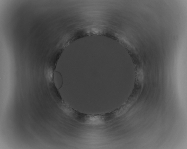 X0000111460709200908101054