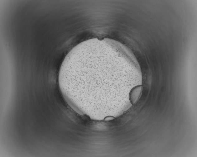 X0000111460710200908101054
