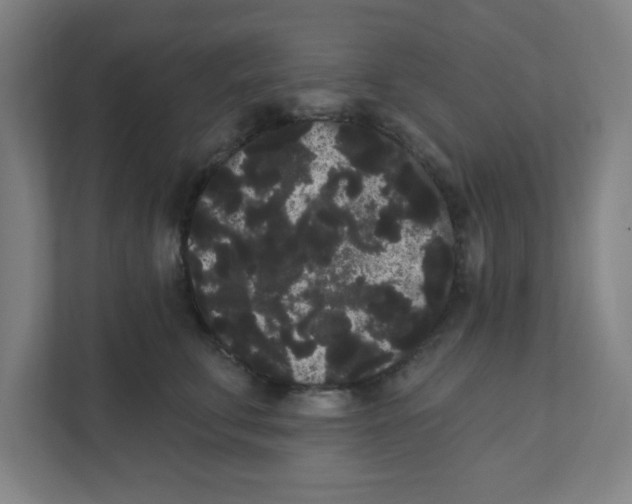 X0000111460711200908101054