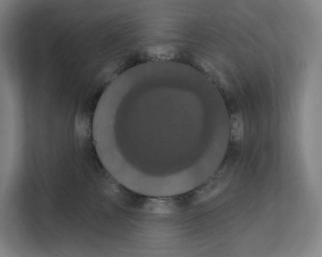 X0000111460713200908101054