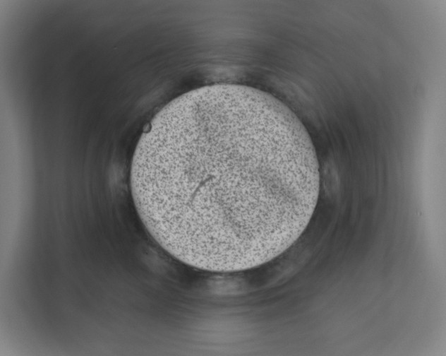 X0000111460714200908101054