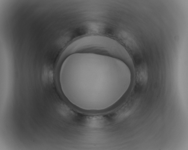 X0000111460716200908101054