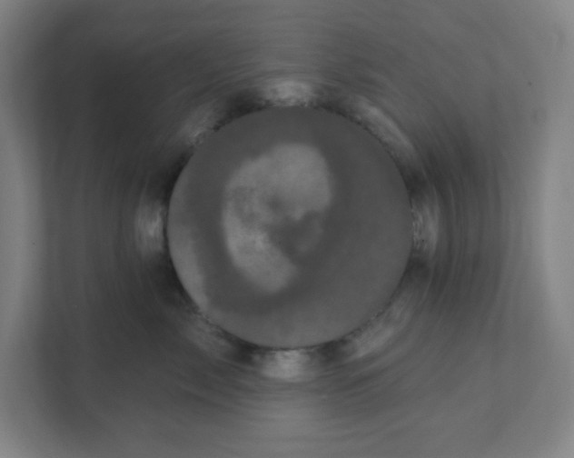 X0000111460717200908101054