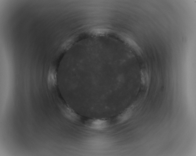 X0000111460718200908101054