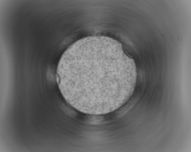 X0000111460719200908101054