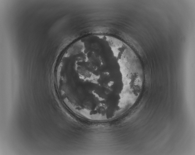 X0000111460721200908101054