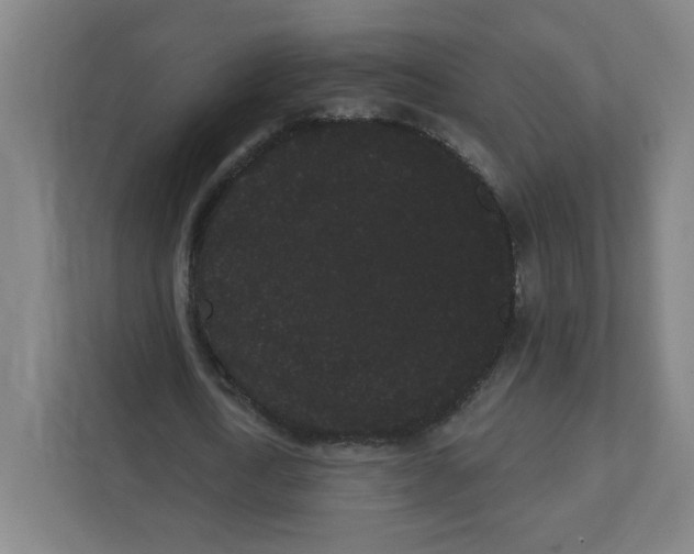 X0000111460722200908101054