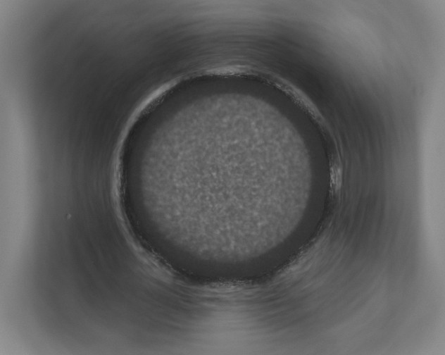 X0000111460724200908101054