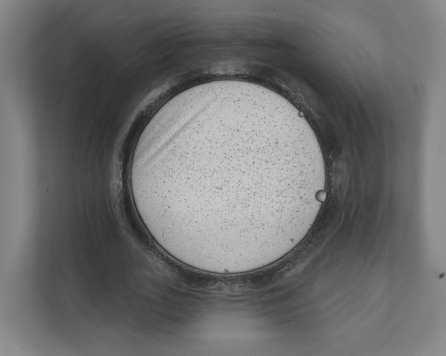X0000111460727200908101054