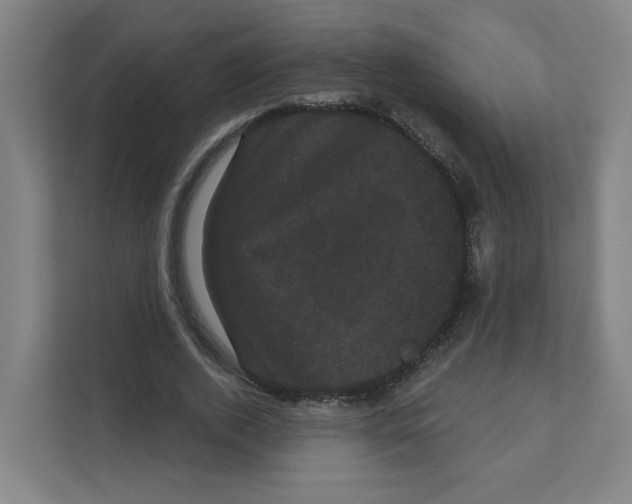 X0000111460728200908101054
