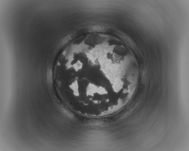 X0000111460729200908101054