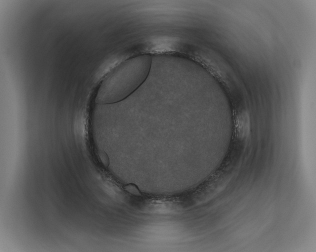 X0000111460732200908101054
