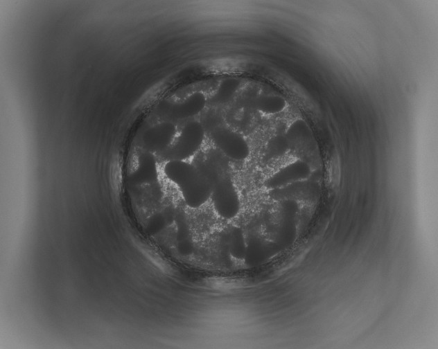 X0000111460733200908101054