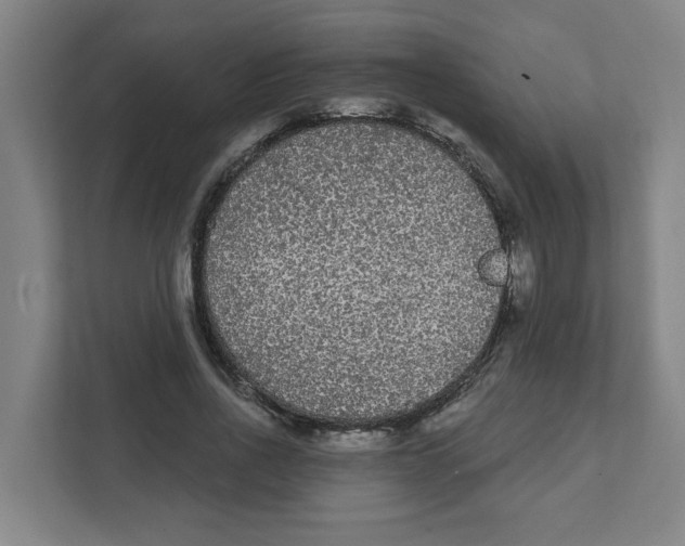X0000111460734200908101054