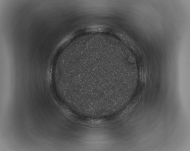 X0000111460735200908101054