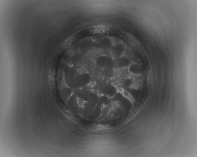 X0000111460737200908101054