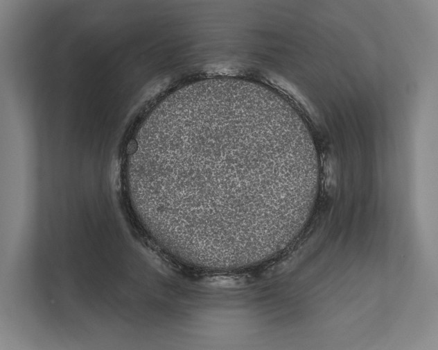 X0000111460738200908101054