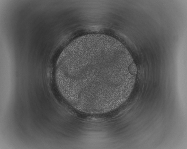 X0000111460739200908101054