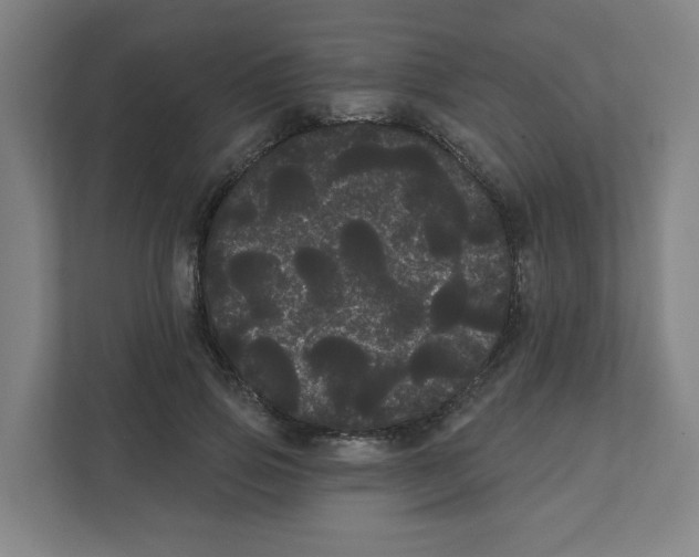 X0000111460741200908101054