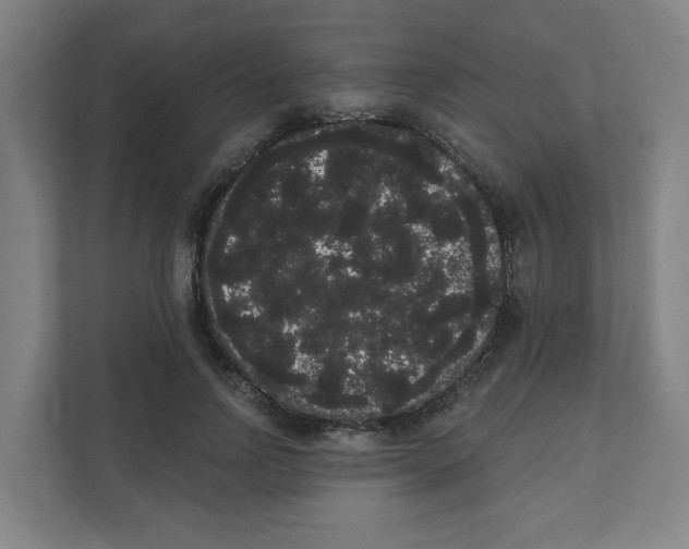 X0000111460742200908101054
