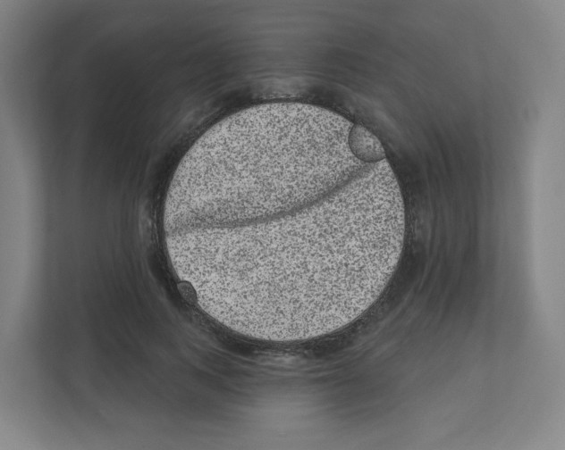 X0000111460743200908101054