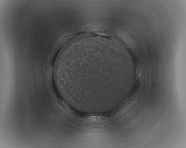 X0000111460744200908101054