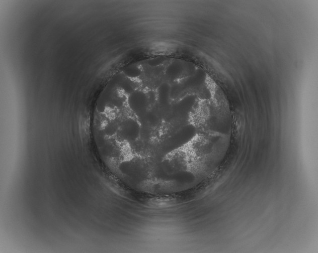 X0000111460745200908101054