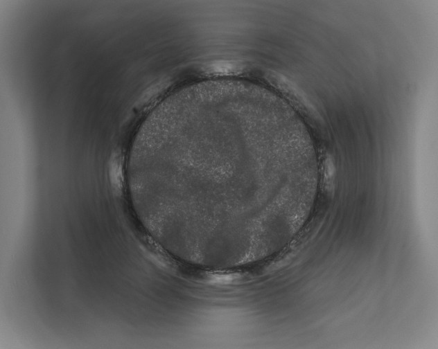 X0000111460746200908101054