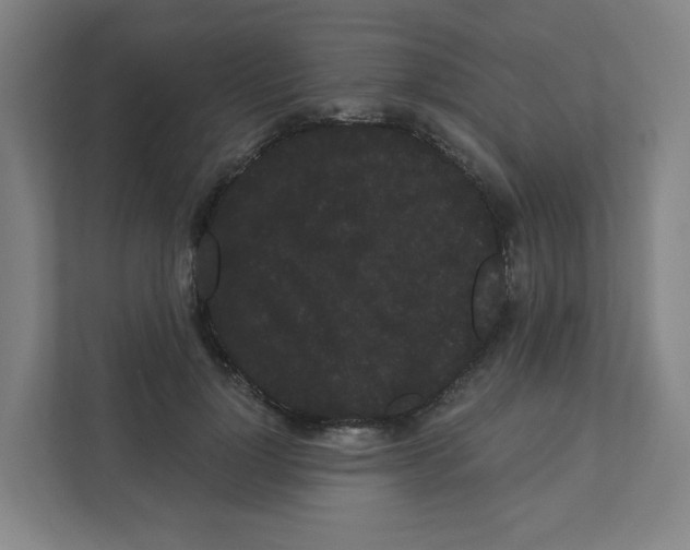 X0000111460748200908101054