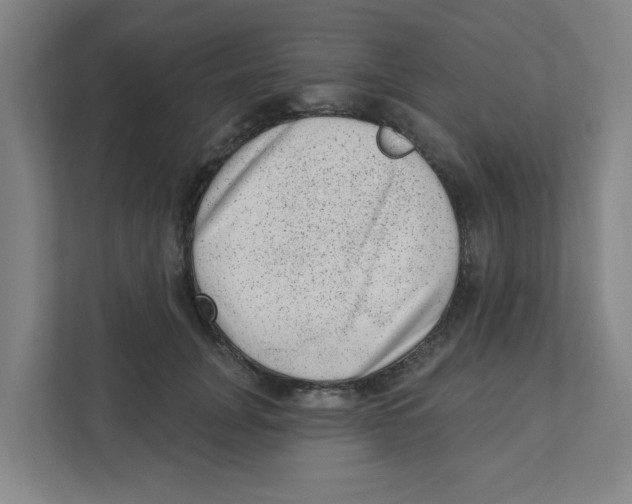 X0000111460751200908101054