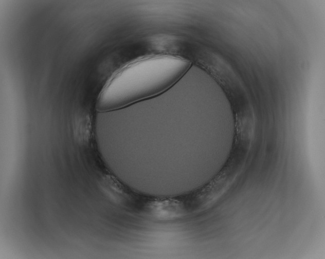 X0000111460752200908101054