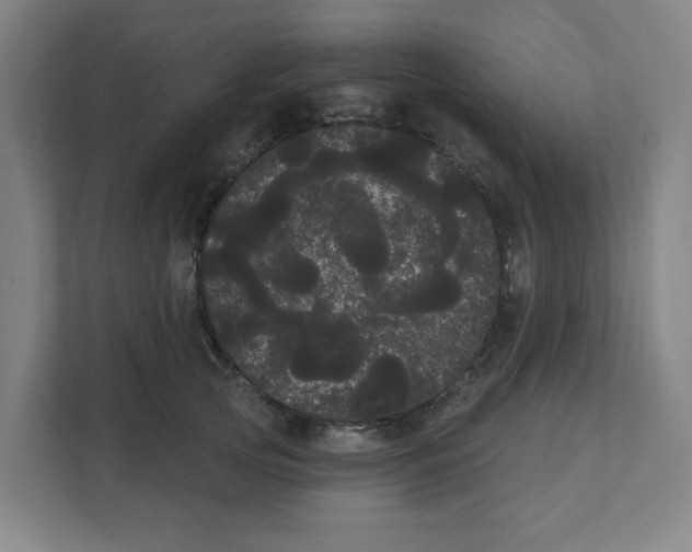 X0000111460753200908101054